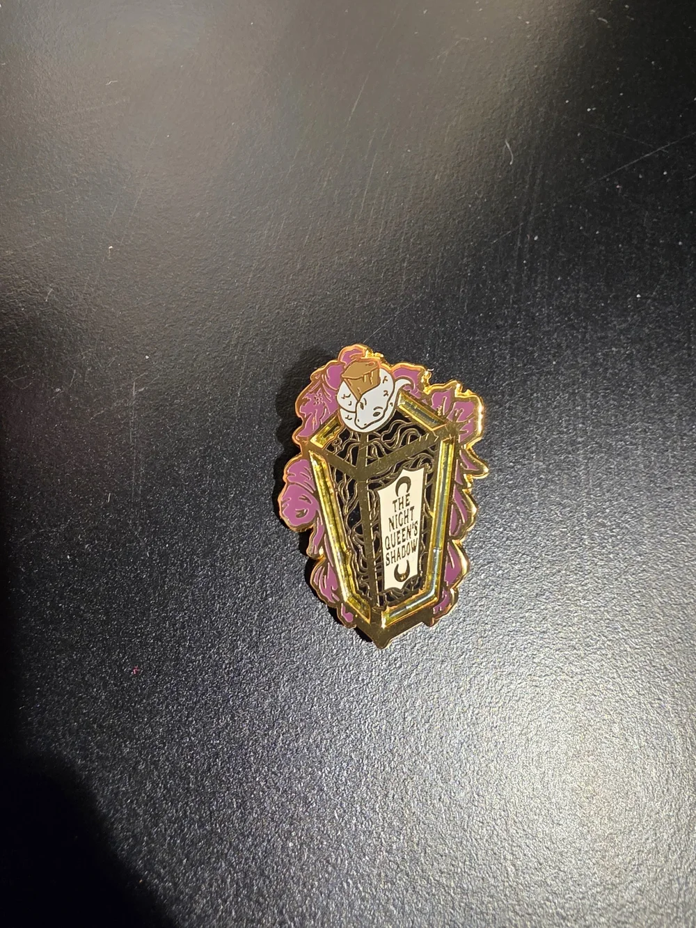 Bookish Book Box A Kiss Of Iron Pin Rare The Knight Queen's Shadow